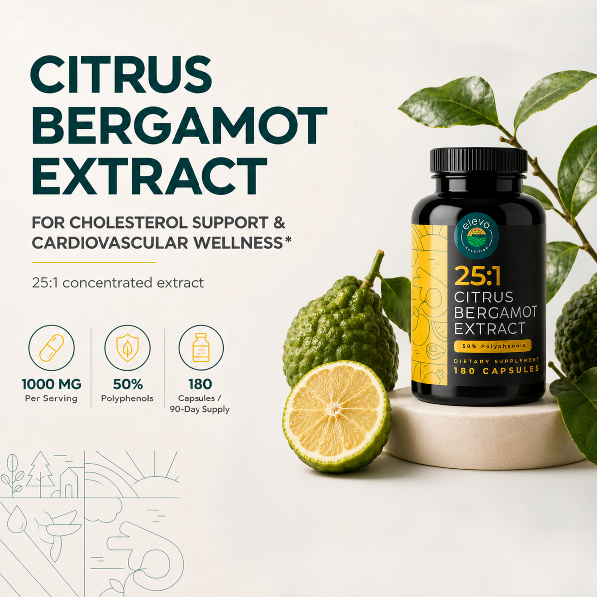 Citrus Bergamot Extract Capsules 1,000 mg