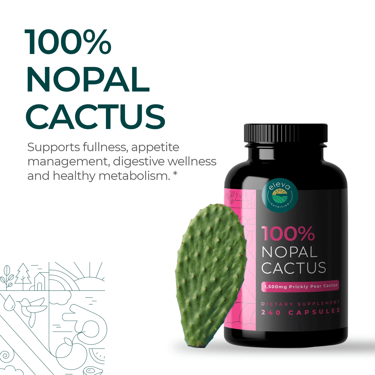 Organic Nopal Cactus Capsules