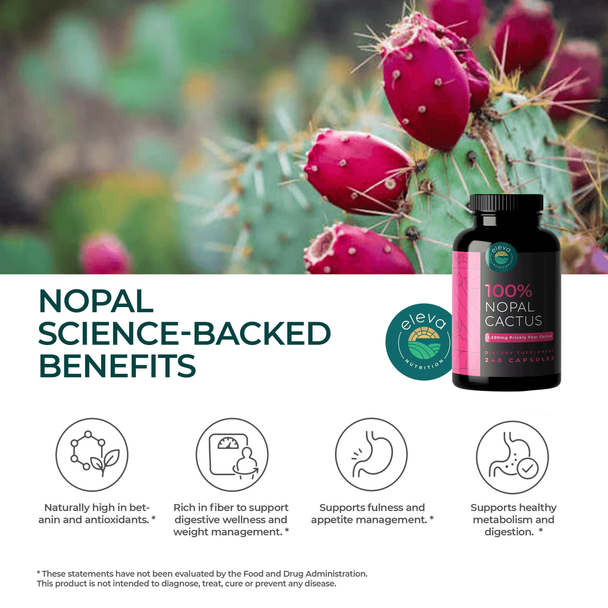 Organic Nopal Cactus Capsules