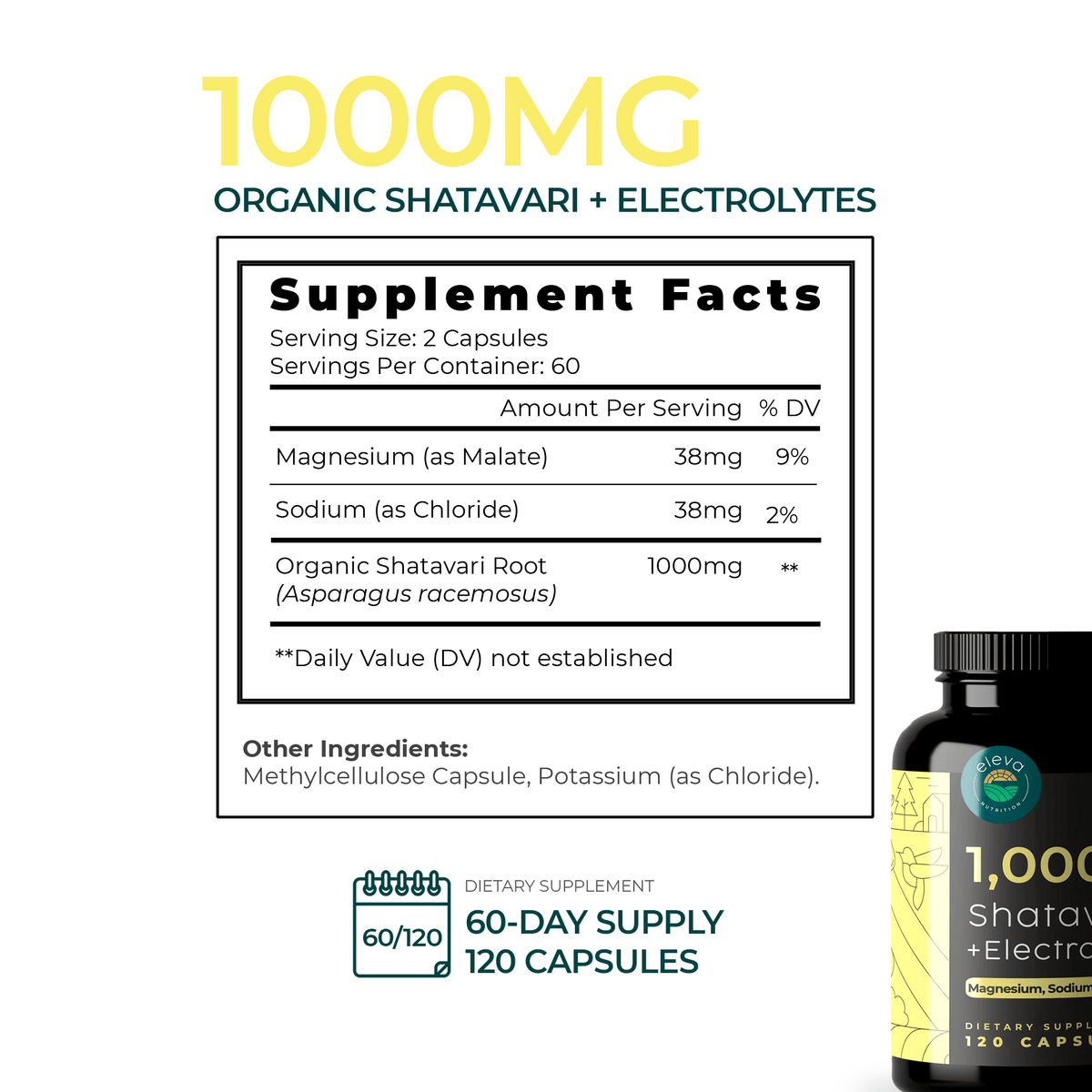Shatavari Extract Capsules